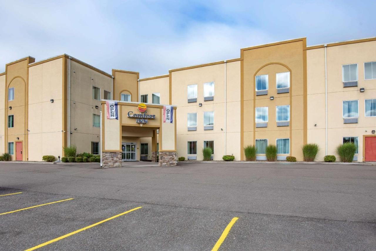 Comfort Inn Apalachin - Binghamton W Route 17 Экстерьер фото